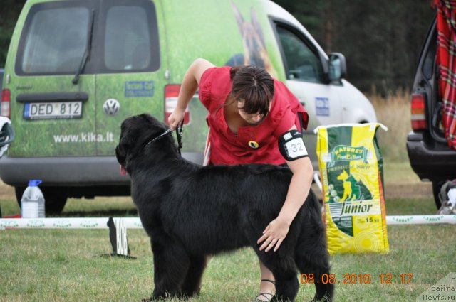 Фотография № 47622