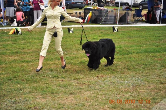 Фотография № 47623