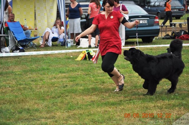 Фотография № 47625