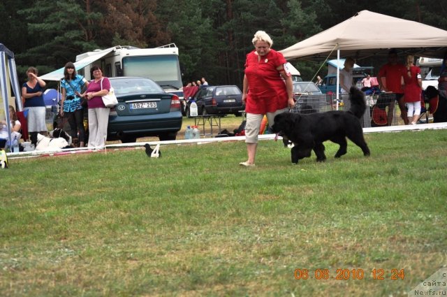 Фотография № 47626