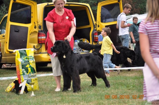 Фотография № 47627