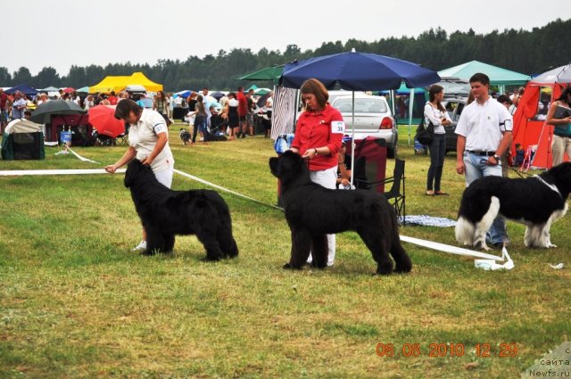 Фотография № 47628