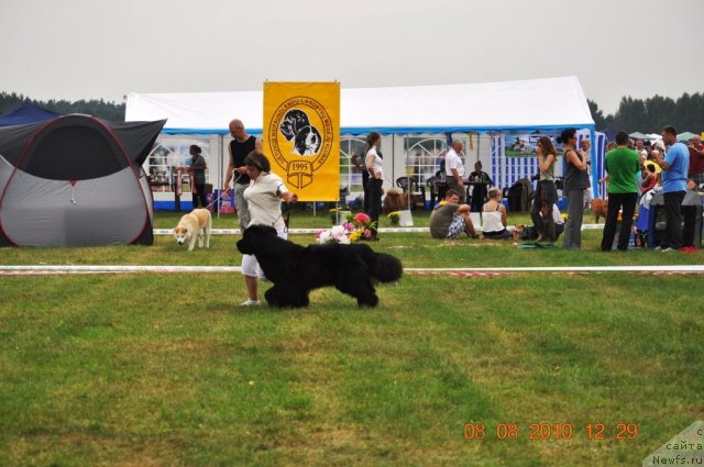 Фотография № 47629