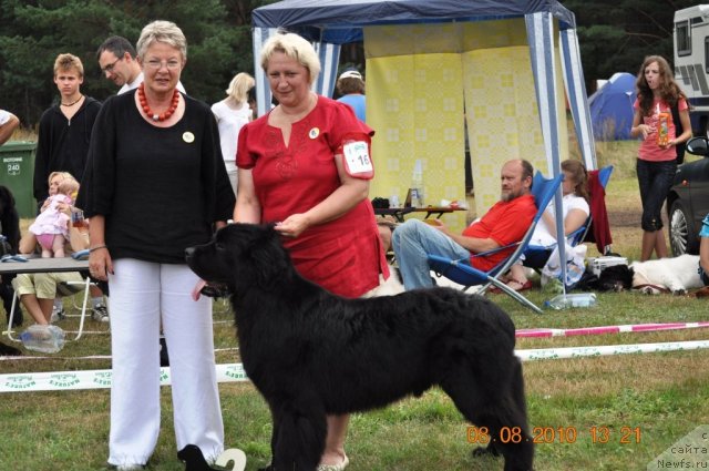 Фотография № 47633