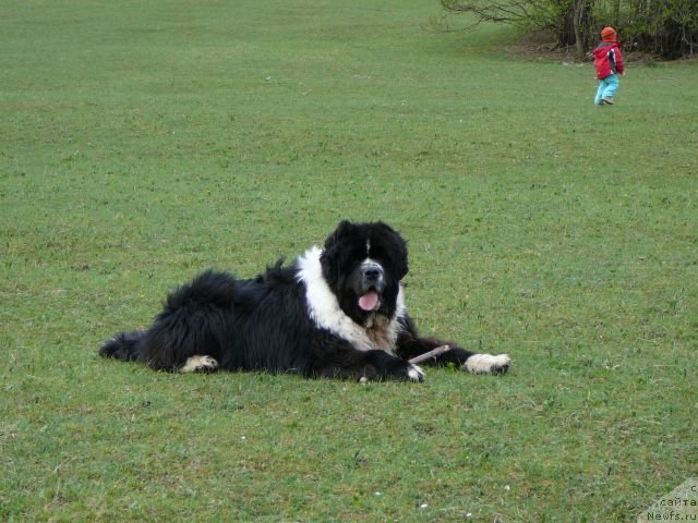 Фотография № 47651