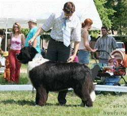 Фотография № 47653