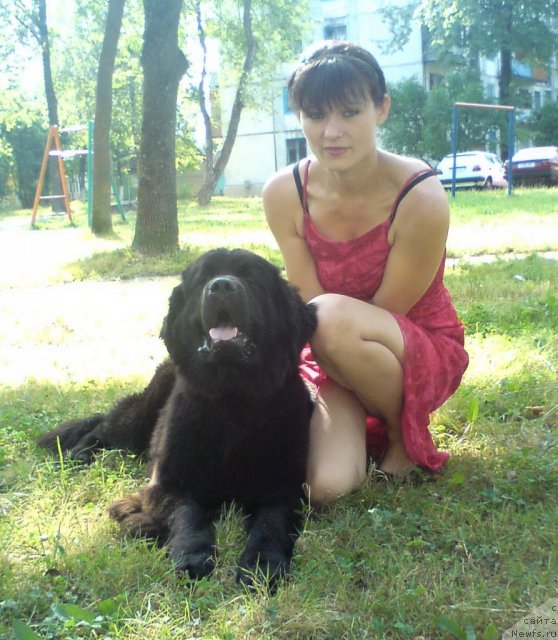 Фото: ньюфаундленд Потап Ярика (Potap Yarika), Анастасия Марченко