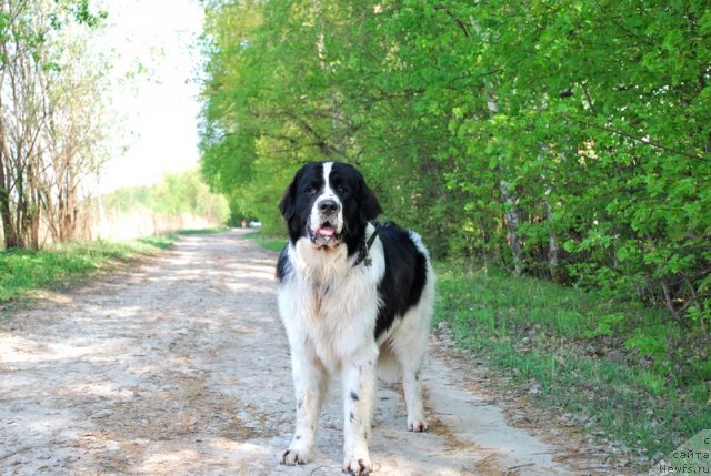 Фотография № 47713