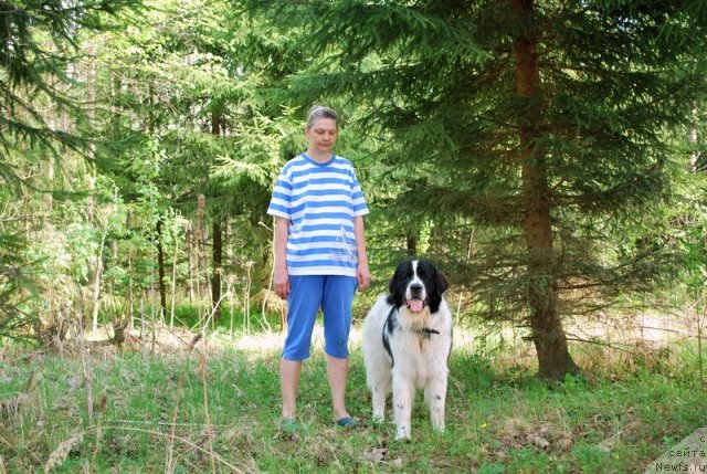 Фотография № 47714