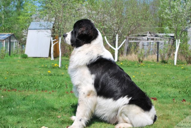 Фотография № 47715