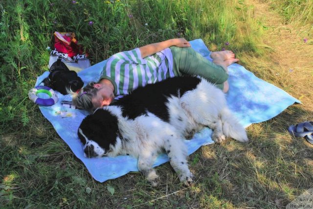 Фотография № 47716