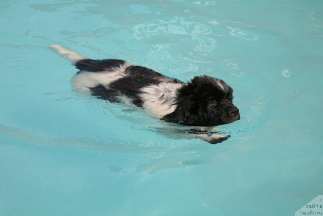 Фотография № 47852