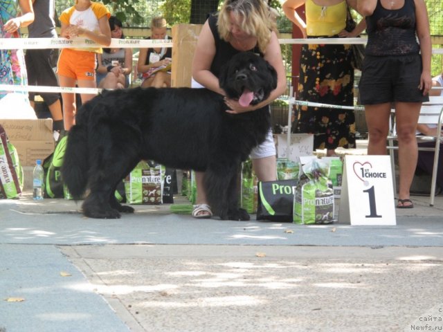 Фотография № 47864