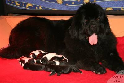 Фотография № 47917