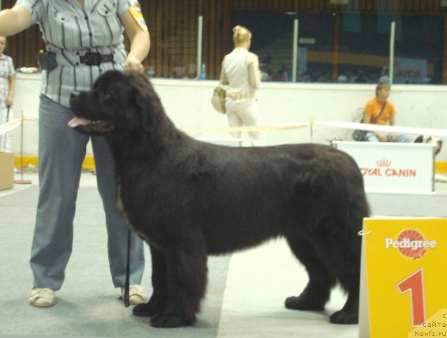 Фотография № 47918