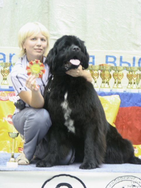 Фотография № 47925