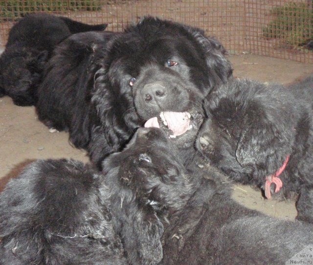 Фотография № 47971