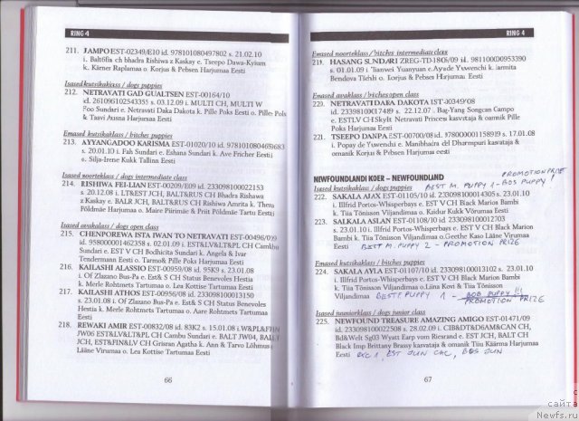 Фотография № 47977