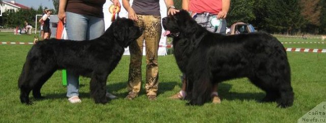 Фотография № 47980