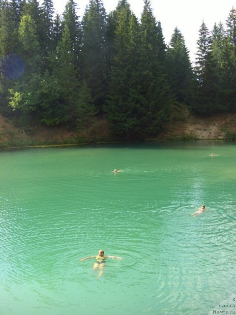 Фотография № 48049