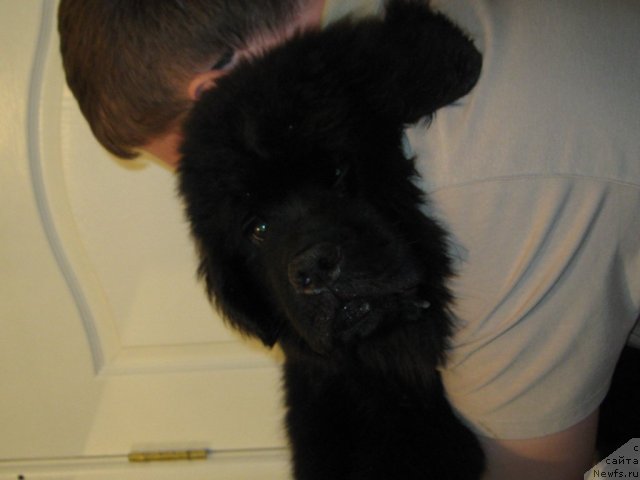 Фото: Светлана Хацкевич