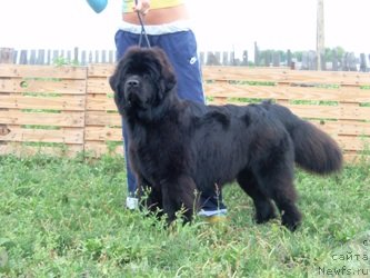 Фотография № 48069