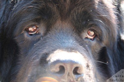 Фотография № 48073