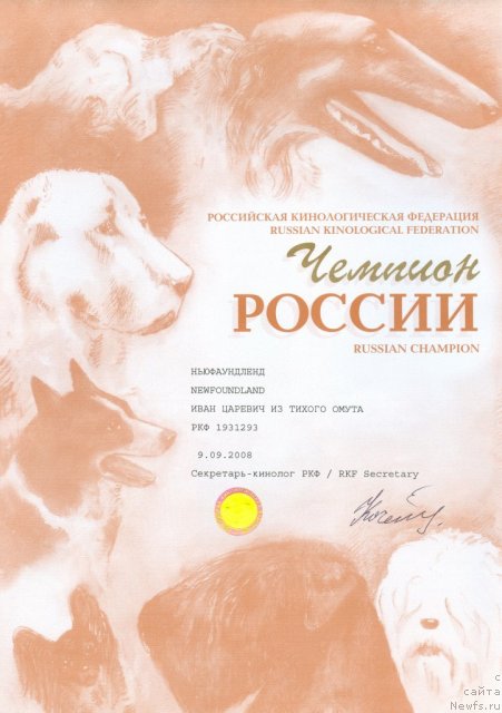 Фото: ньюфаундленд Иван Царевич из Тихого Омута (Ivan Tsarevich iz Tihogo Omuta)