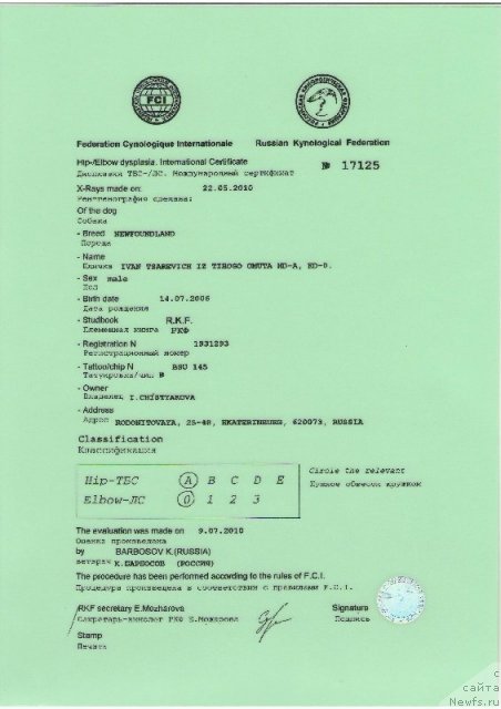 Фото: ньюфаундленд Иван Царевич из Тихого Омута (Ivan Tsarevich iz Tihogo Omuta)