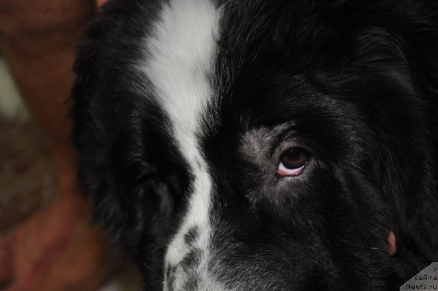 Фотография № 48097