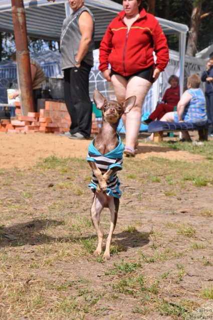 Фотография № 48103