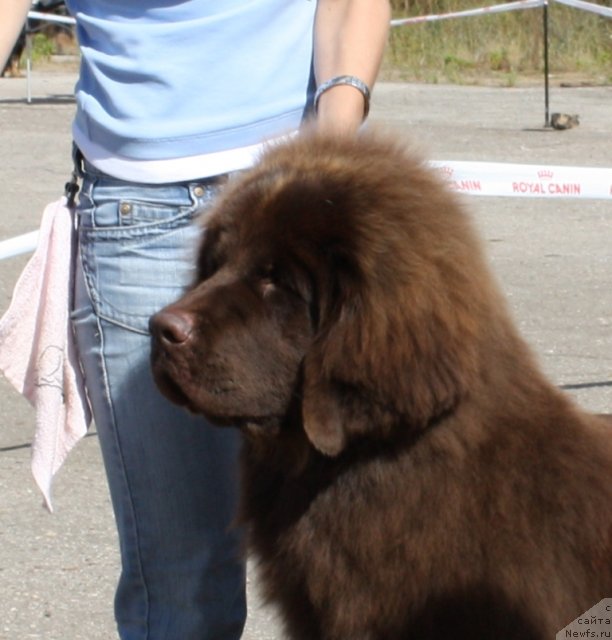 Фотография № 48348