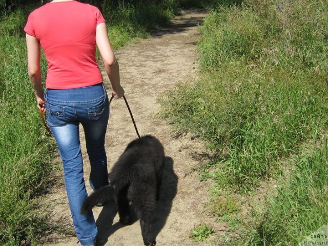 Фото: Светлана Хацкевич, Светлана Хацкевич