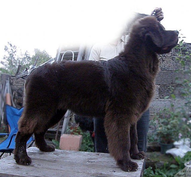 Фотография № 48410