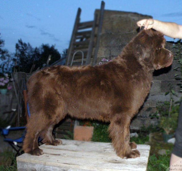 Фотография № 48411