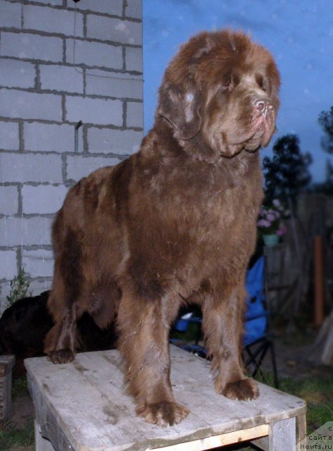 Фотография № 48412