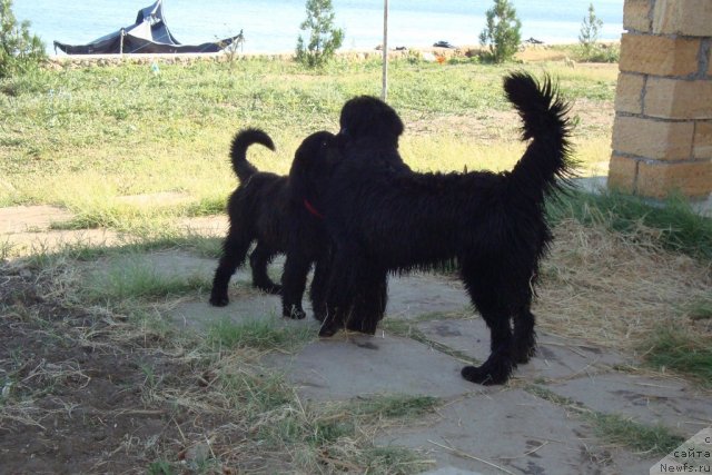 Фотография № 48424