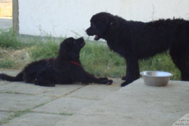 Фотография № 48427