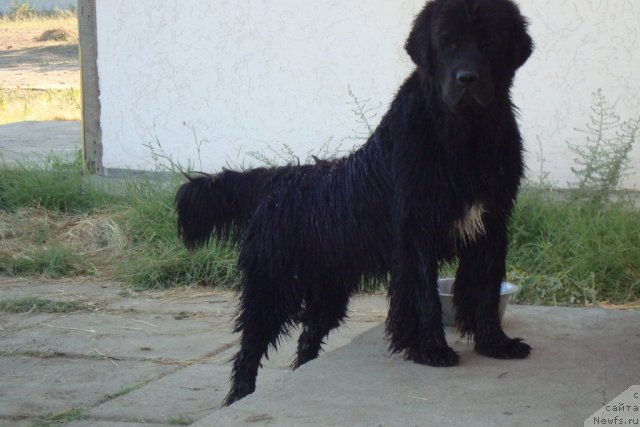 Фотография № 48431