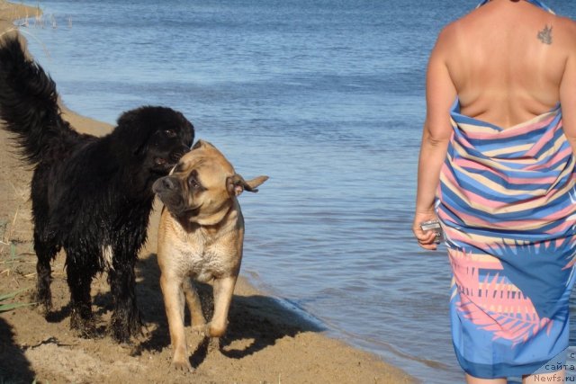 Фотография № 48432