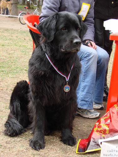 Фото: Наталия Ничипоренко