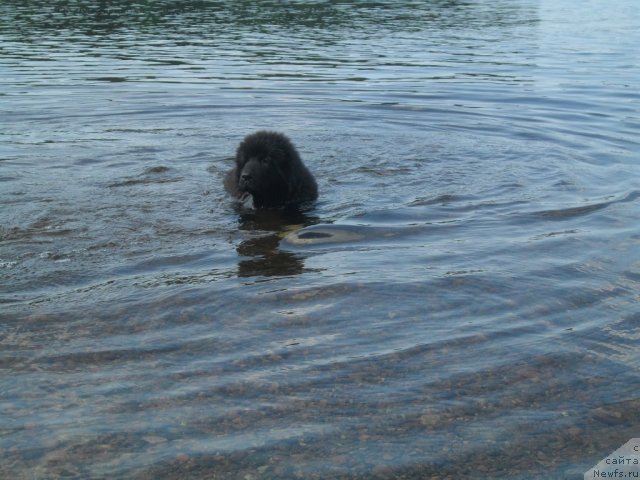 Фото: Сандра Тарвидаите