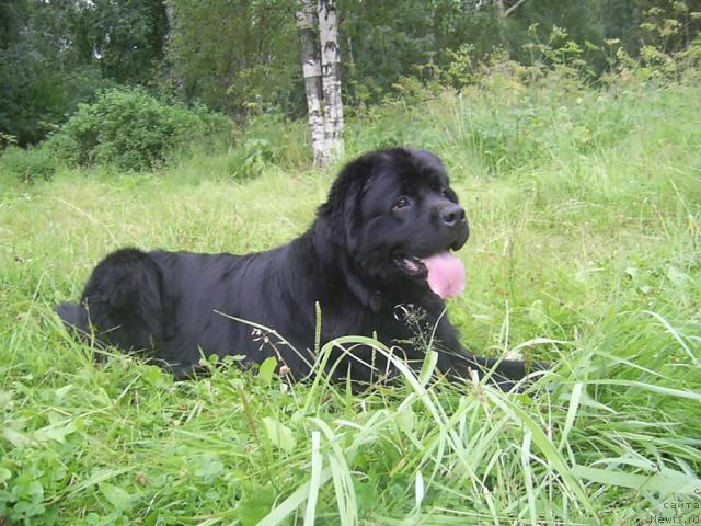 Фотография № 4848