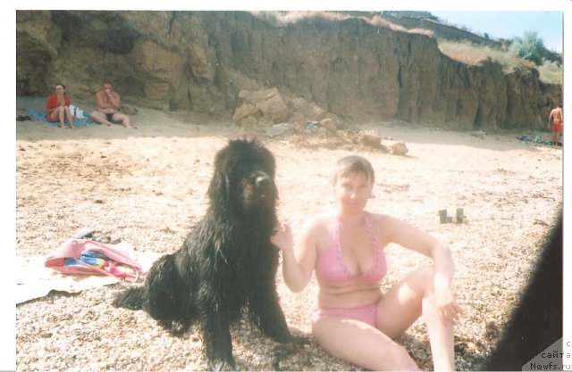 Фото: ньюфаундленд Грациозный со Звездного Неба, ньюфаундленд Грациозный со Звездного Неба