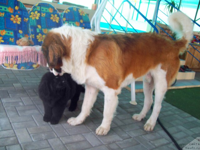 Фотография № 48533