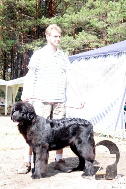 Фотография № 48558