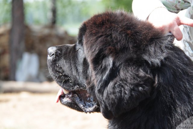 Фотография № 48563