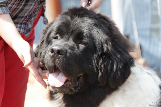 Фотография № 48565