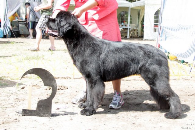 Фотография № 48568