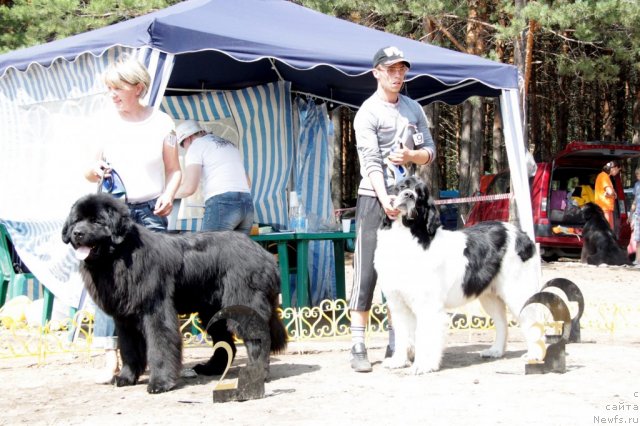 Фотография № 48572